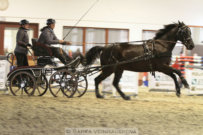 Zimní Jezdecký pohár spřežení 2016 - Brno
