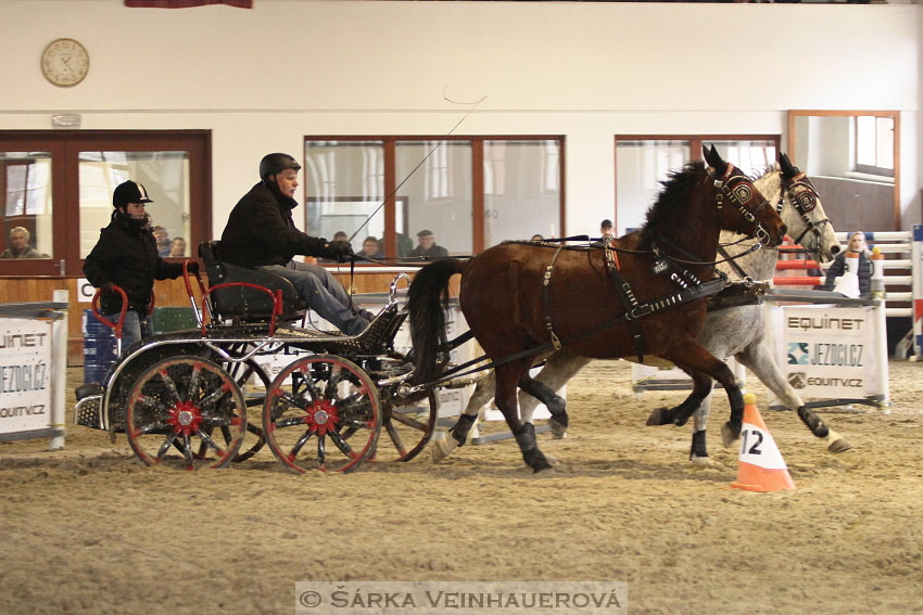 Zimní Jezdecký pohár spřežení 2016 - Brno