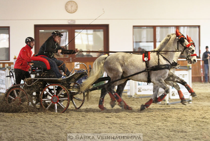 Zimní Jezdecký pohár spřežení 2016 - Brno