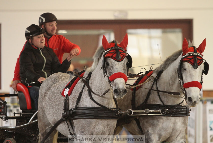 Zimní Jezdecký pohár spřežení 2016 - Brno