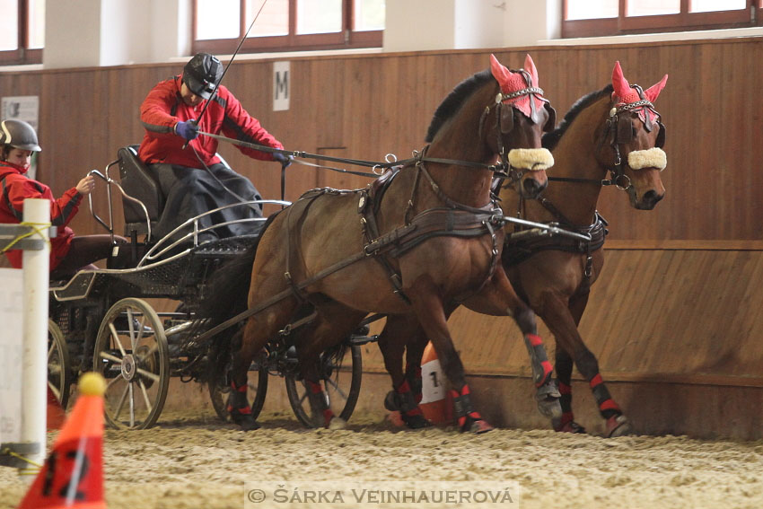 Zimní Jezdecký pohár spřežení 2016 - Brno