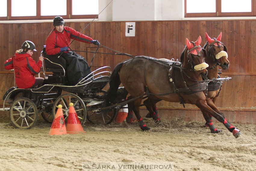 Zimní Jezdecký pohár spřežení 2016 - Brno