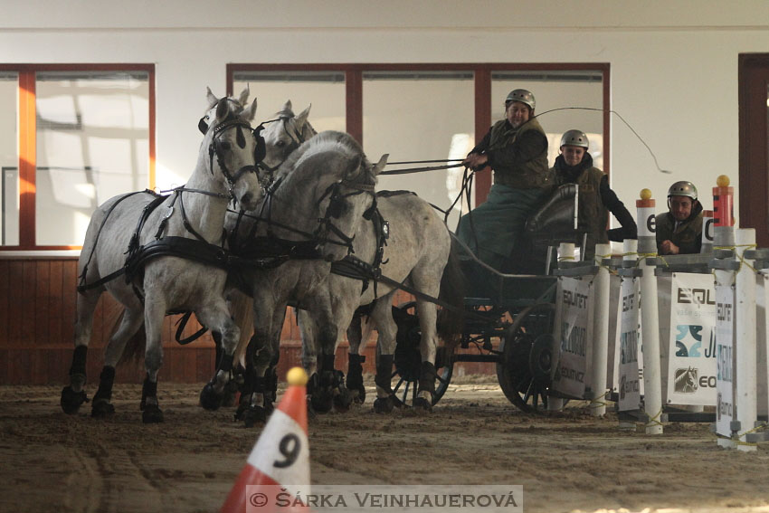 Zimní Jezdecký pohár spřežení 2016 - Brno