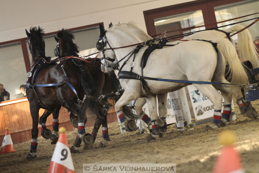 Zimní Jezdecký pohár spřežení 2016 - Brno