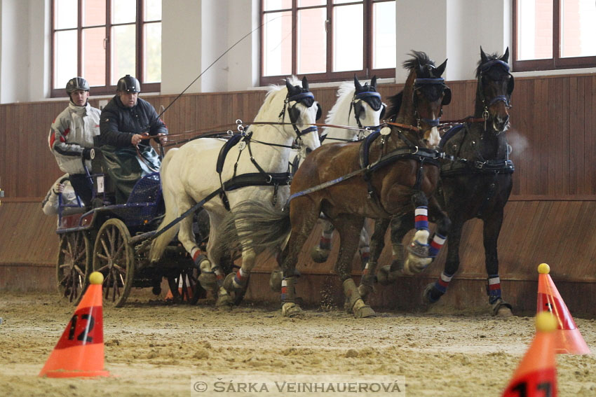 Zimní Jezdecký pohár spřežení 2016 - Brno