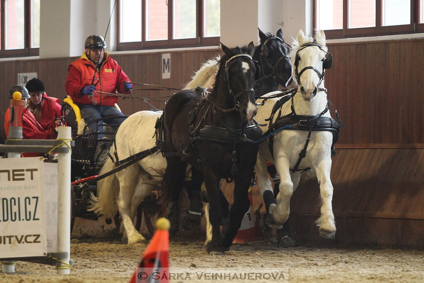 Zimní Jezdecký pohár spřežení 2016 - Brno