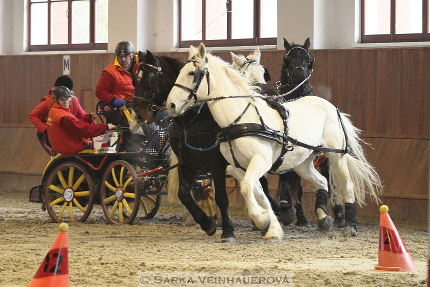 Zimní Jezdecký pohár spřežení 2016 - Brno