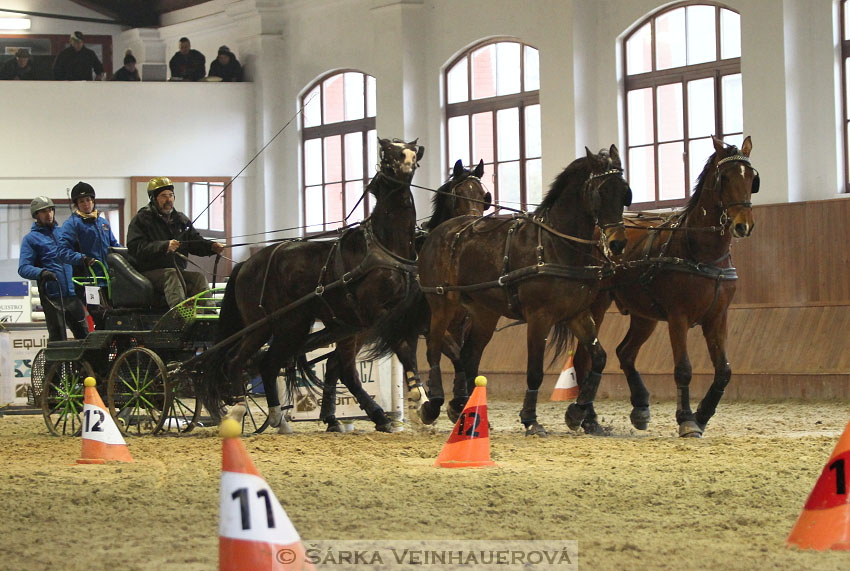 Zimní Jezdecký pohár spřežení 2016 - Brno