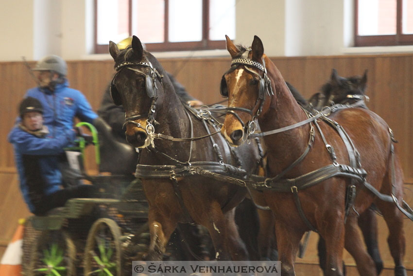 Zimní Jezdecký pohár spřežení 2016 - Brno