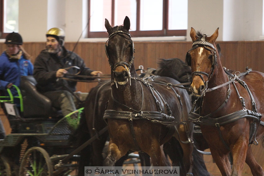 Zimní Jezdecký pohár spřežení 2016 - Brno