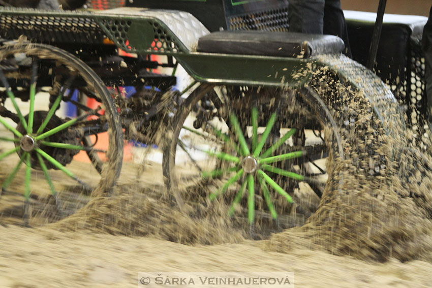 Zimní Jezdecký pohár spřežení 2016 - Brno