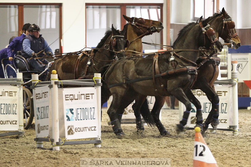 Zimní Jezdecký pohár spřežení 2016 - Brno