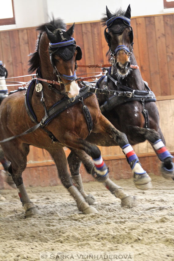 Zimní Jezdecký pohár spřežení 2016 - Brno