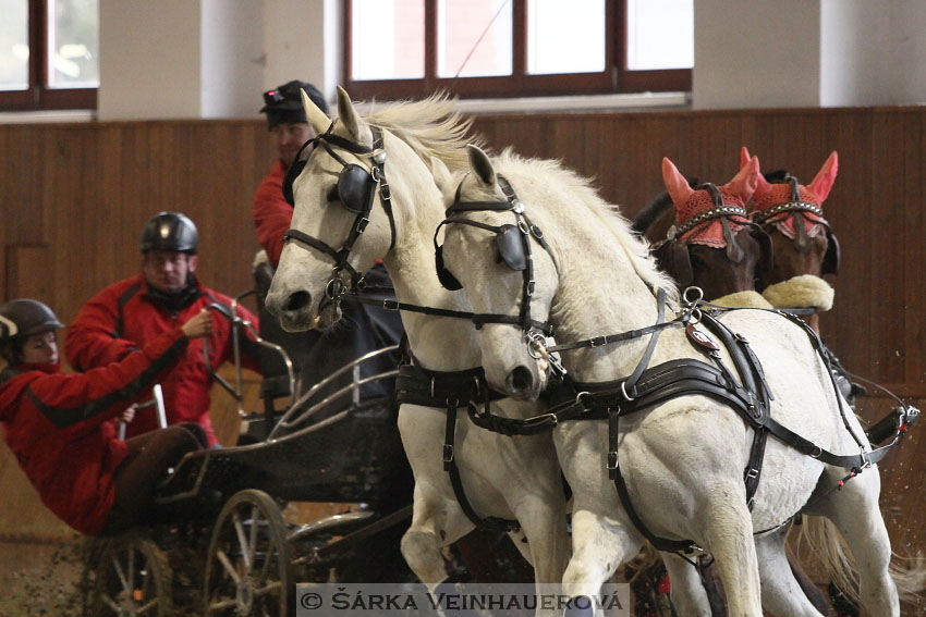 Zimní Jezdecký pohár spřežení 2016 - Brno