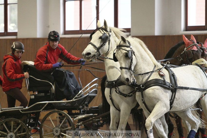 Zimní Jezdecký pohár spřežení 2016 - Brno