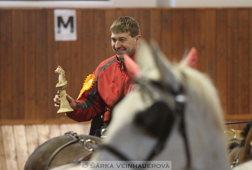 Zimní Jezdecký pohár spřežení 2016 - Brno