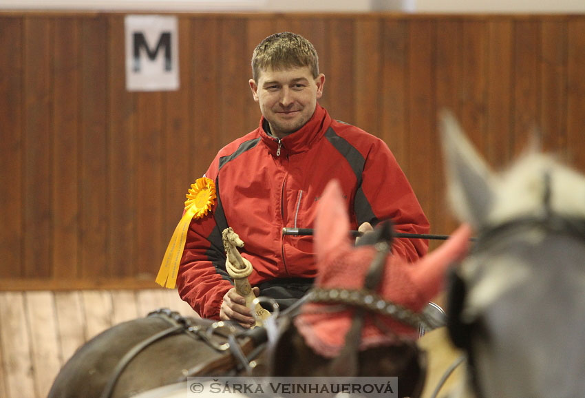 Zimní Jezdecký pohár spřežení 2016 - Brno