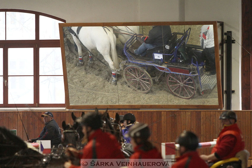 Zimní Jezdecký pohár spřežení 2016 - Brno