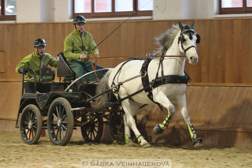 Zimní Jezdecký pohár spřežení 2016 - Brno