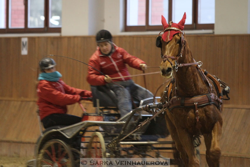 Zimní Jezdecký pohár spřežení 2016 - Brno