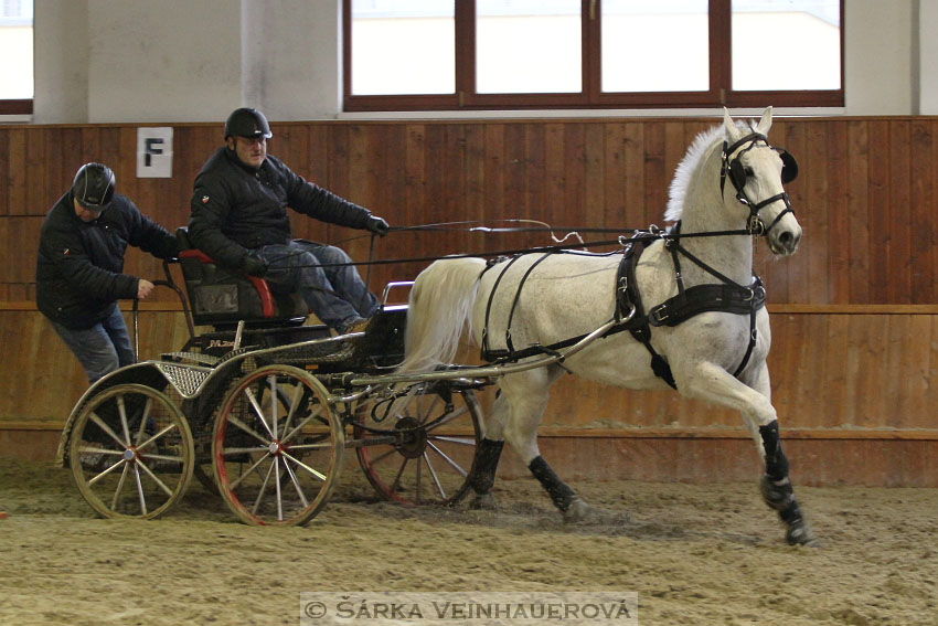 Zimní Jezdecký pohár spřežení 2016 - Brno