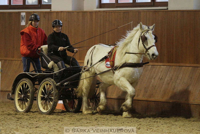 Zimní Jezdecký pohár spřežení 2016 - Brno