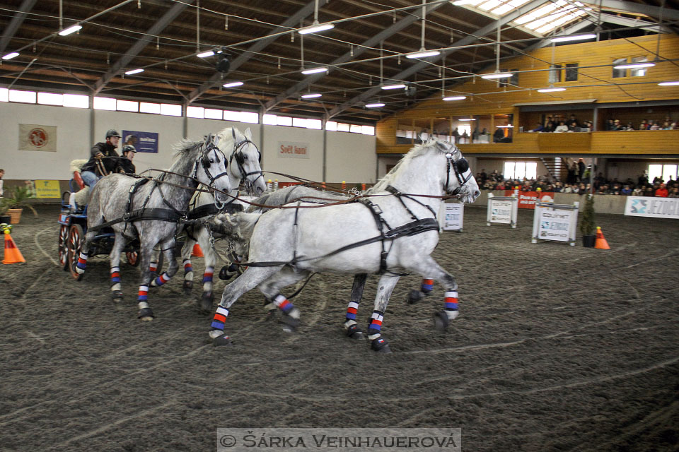 Zimní Jezdecký pohár spřežení 2016 - Hradištko