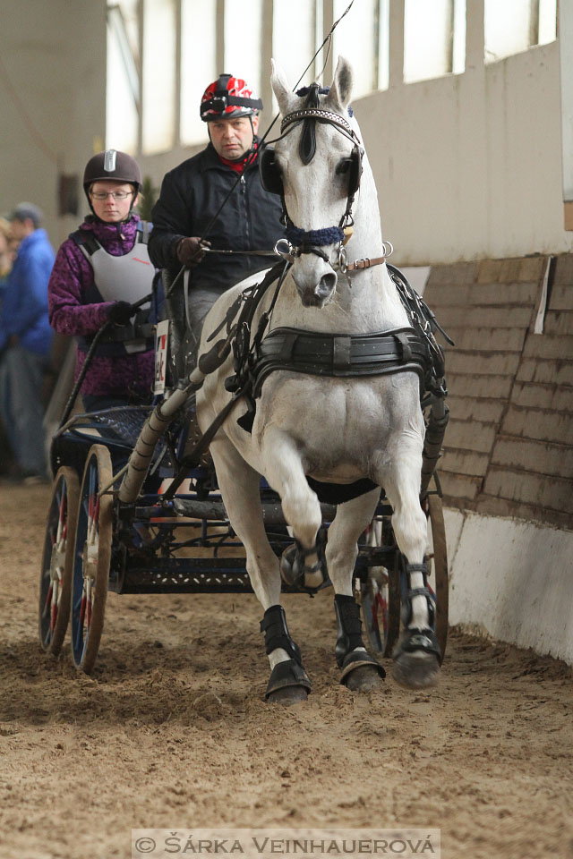 Zimní Jezdecký pohár spřežení 2016 - Slatiňany