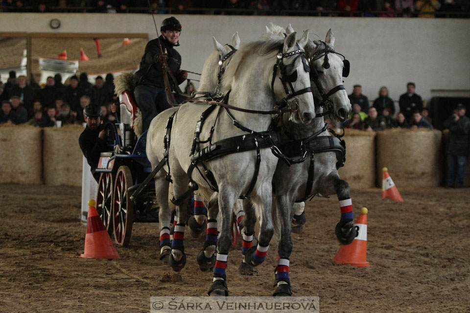 Zimní Jezdecký pohár spřežení 2016 - Slatiňany