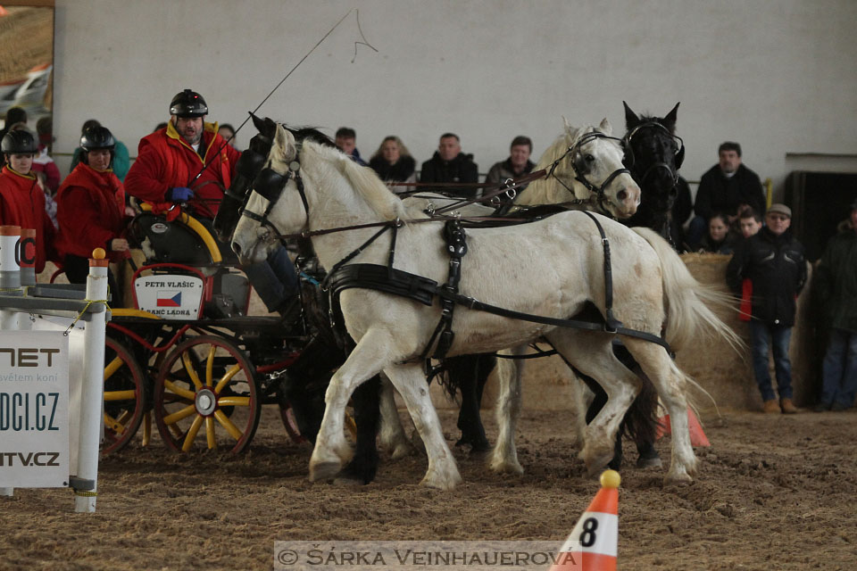 Zimní Jezdecký pohár spřežení 2016 - Slatiňany