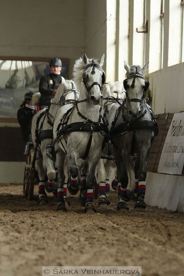 Zimní Jezdecký pohár spřežení 2016 - Slatiňany