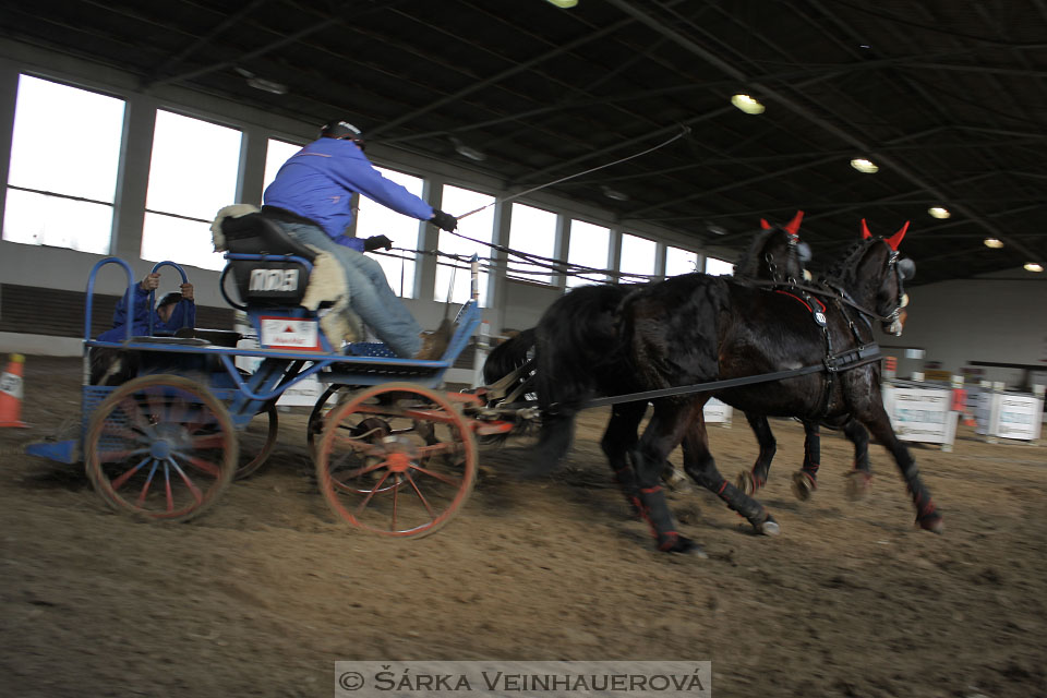 Zimní Jezdecký pohár spřežení 2016 - Slatiňany