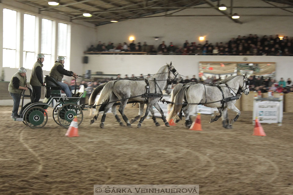 Zimní Jezdecký pohár spřežení 2016 - Slatiňany