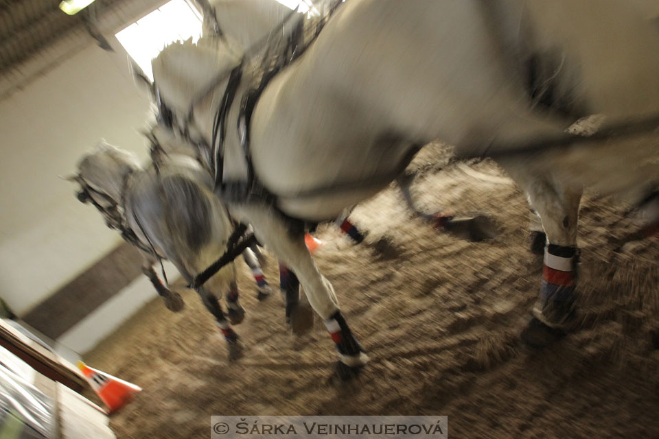 Zimní Jezdecký pohár spřežení 2016 - Slatiňany