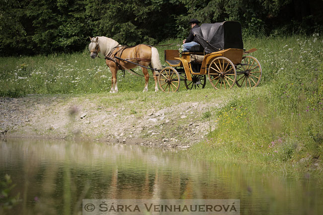 Zrcadlení