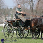 30.-.31.3.2019 - Soustředění spřežení...