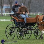 30.-.31.3.2019 - Soustředění spřežení...