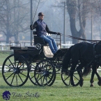 30.-.31.3.2019 - Soustředění spřežení...