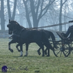 30.-.31.3.2019 - Soustředění spřežení...