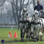 30.-.31.3.2019 - Soustředění spřežení...