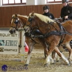 Brno 2019 - spřežení