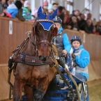 Brno 2019 - spřežení