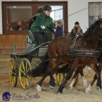 Brno 2019 - spřežení