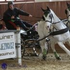 Brno 2019 - spřežení
