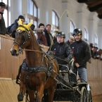 Brno 2019 - spřežení