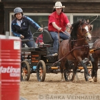 Dvojspřeží pony