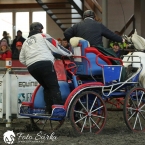 Hradištko 2019 - spřežení