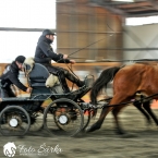 Hradištko 2019 - spřežení