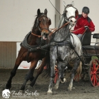 Hradištko 2019 - spřežení