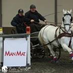 Hradištko 2019 - spřežení